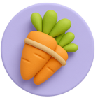 plane icon