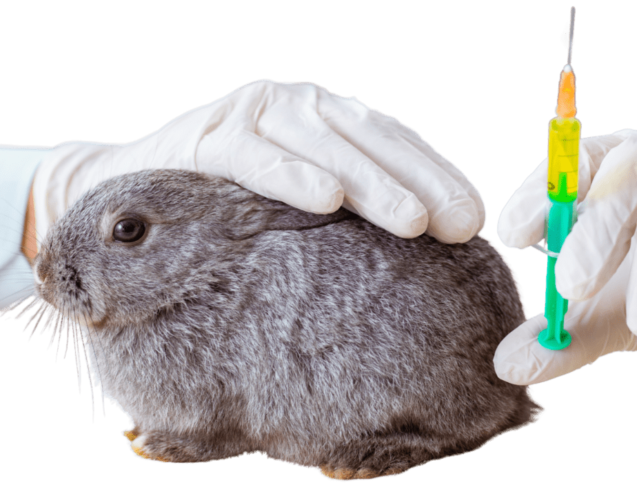 Rabbit tools and calculators