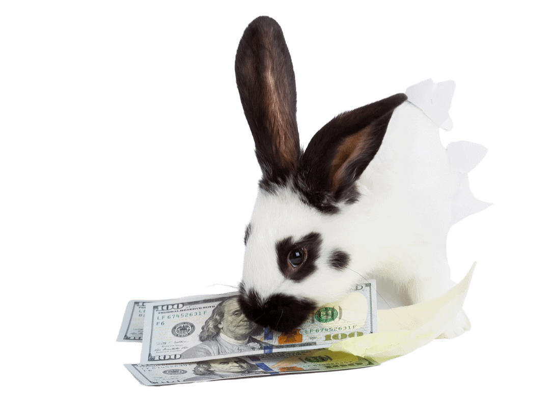 Rabbit Ownership Calculator