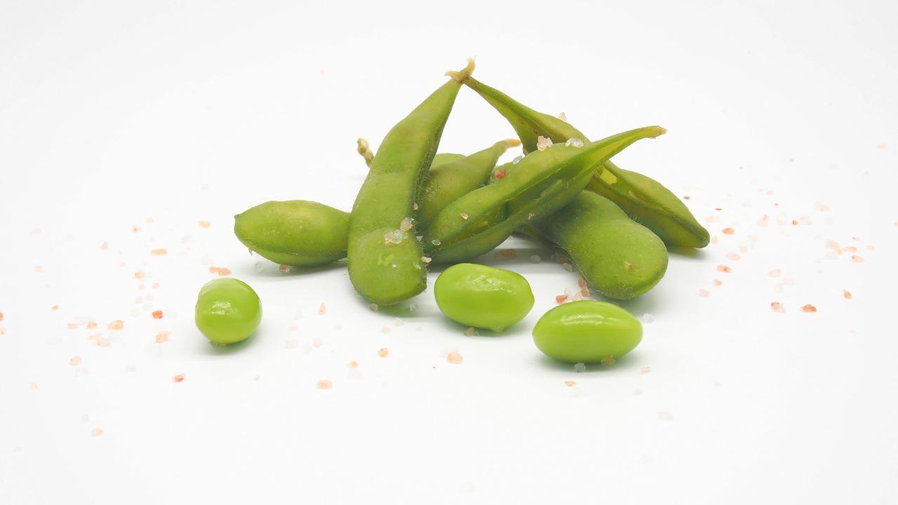 Can Rabbits Eat Edamame? Why Soybeans Are Dangerous for Rabbits
