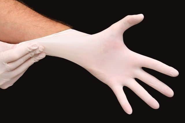 A person wearing protective gloves before handling a dead wild rabbit