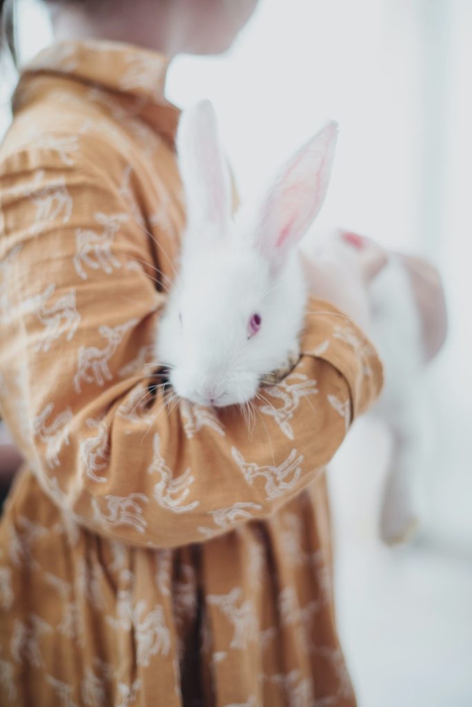 rabbit being carried by its owner after a screaming episode