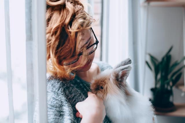 A girl holding its pet rabbit while playing with it.