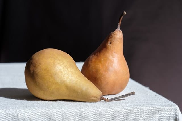 Two fresh raw pears ready to be prepared as a treat for rabbits