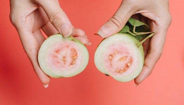 Can Rabbits Eat Guava? Here’s Why.