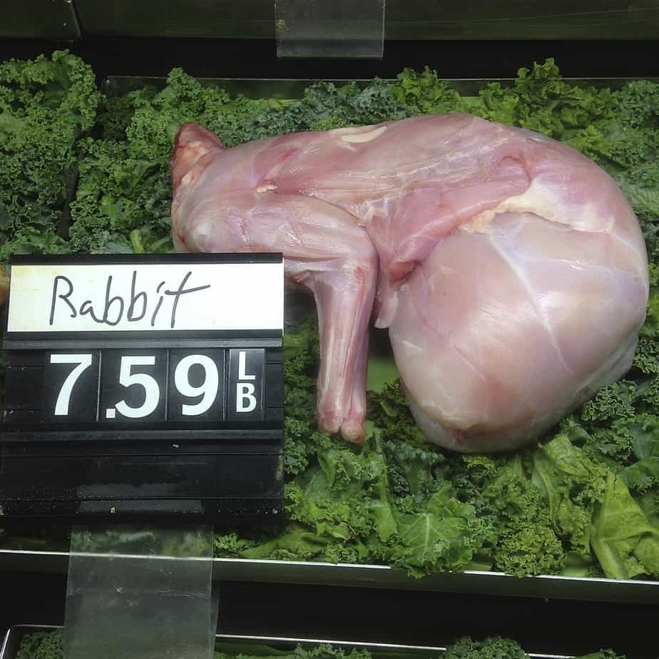 What Is Rabbit Meat Called? Names, Cuts, and Culinary Terms Explained