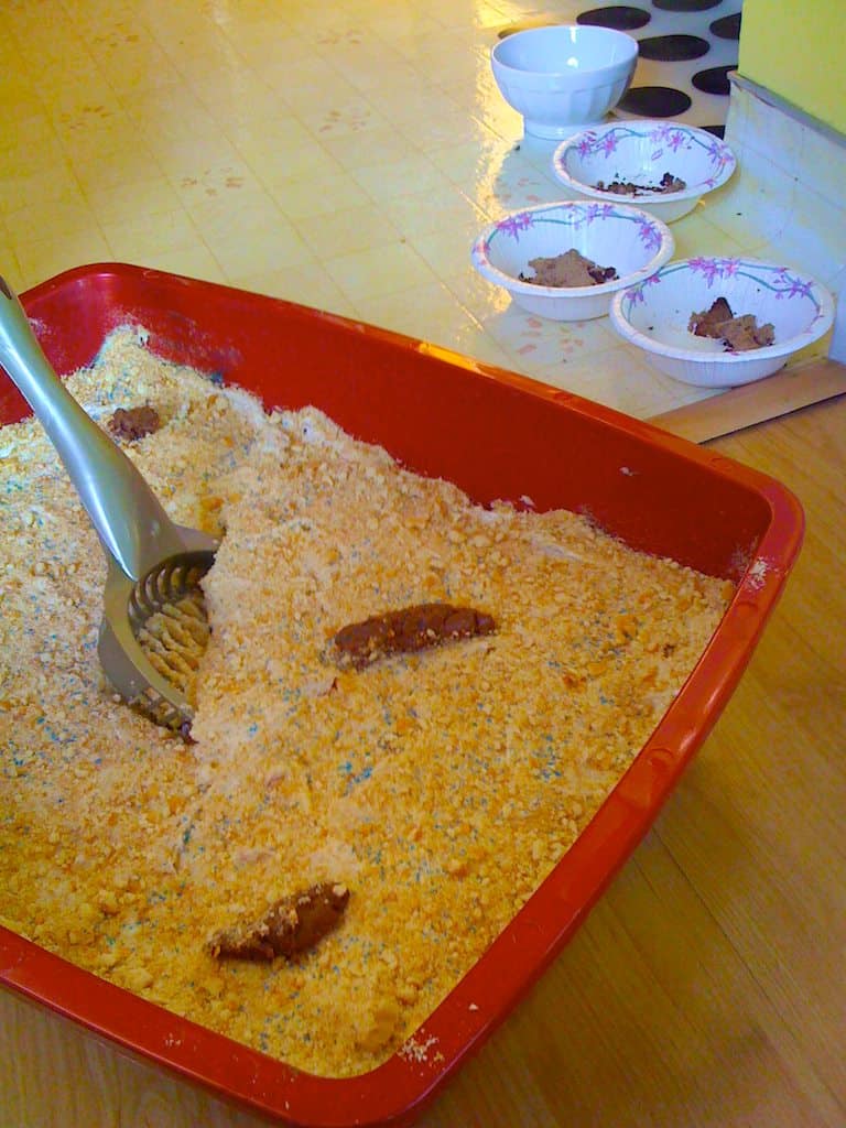 An example of a cat litter.