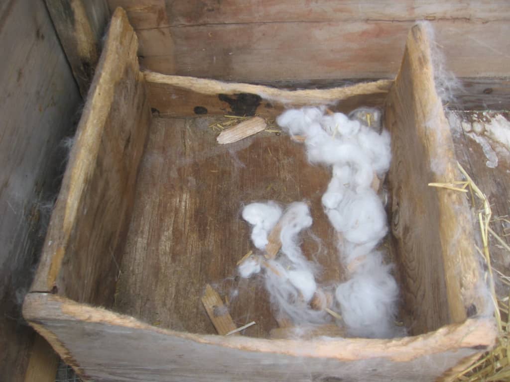 A rabbit's nest box with a lot of fur inside of it.