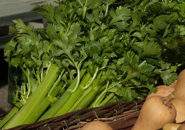 Fresh celery stalks in a basket ready to feed to rabbits