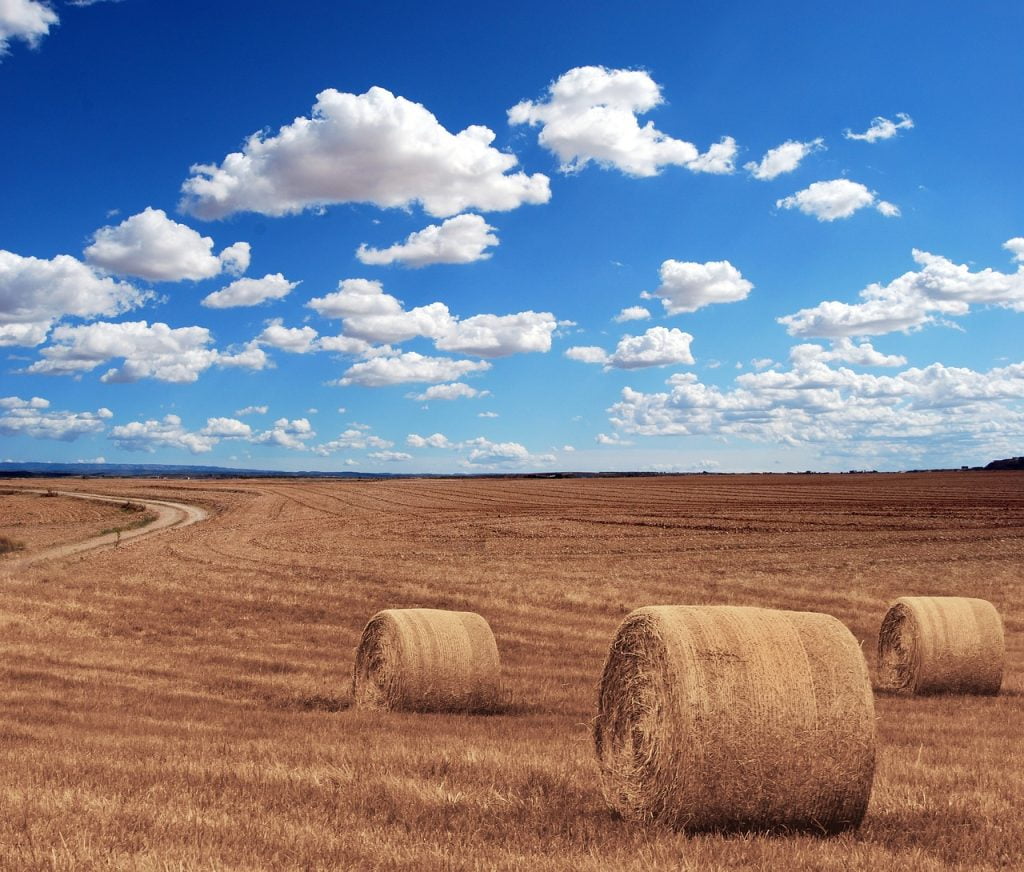 A bale of hay for horses.