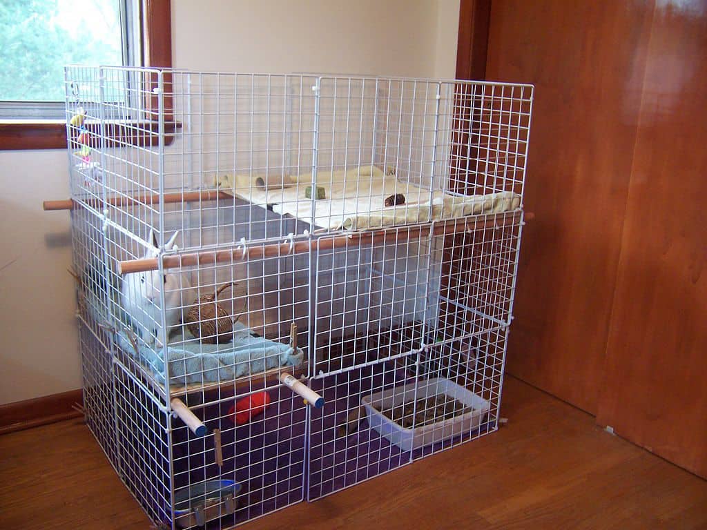 Should You Cover Your Rabbits Cage At Night?