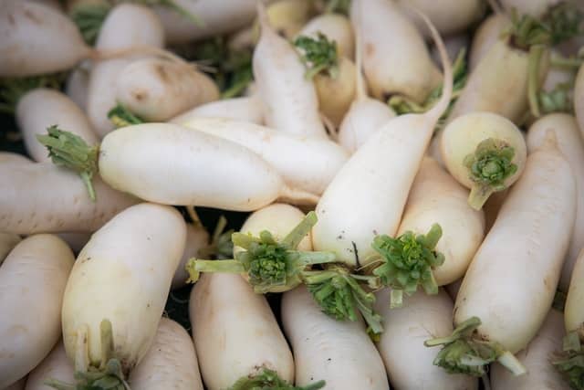 A bundle of daikon white radishes
