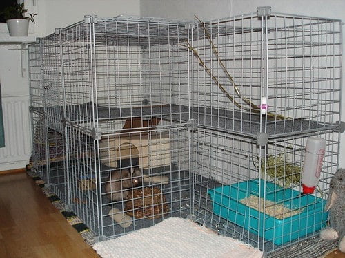 A multi-level rabbit cage with ramps connecting different floors
