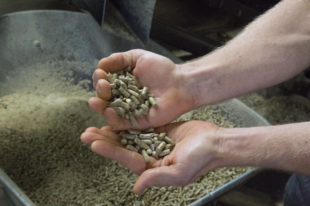 A wood pellet that's used as a litter for rabbits.