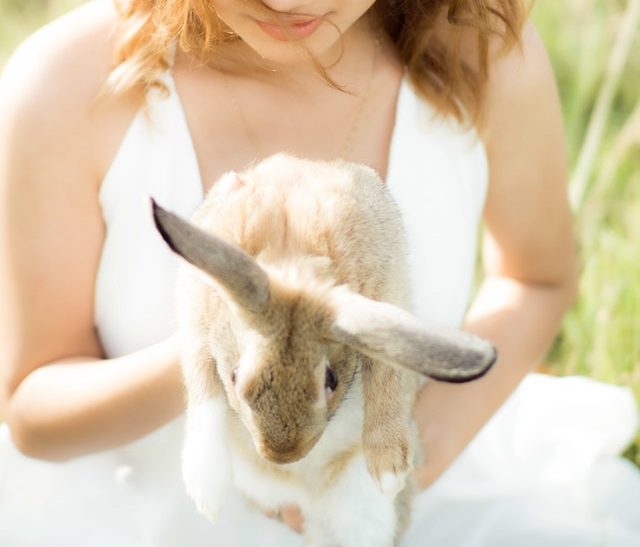 A girl properly picking up her rabbit.