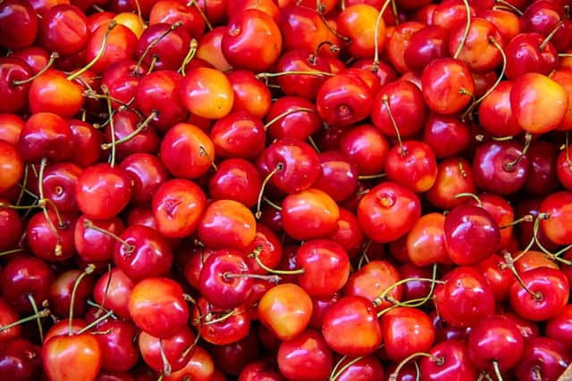 Can Rabbits Eat Cherries? Safe Feeding Guide for 2026
