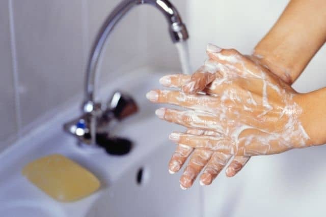 A person washing their hands with soap after safely disposing of a dead wild rabbit