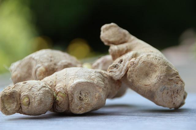 Can Rabbits Eat Ginger?
