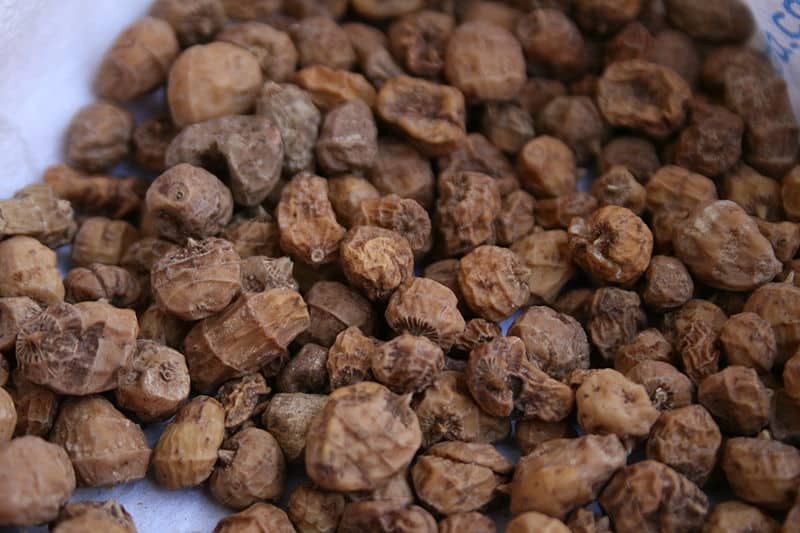 Can Rabbits Eat Tiger Nuts?