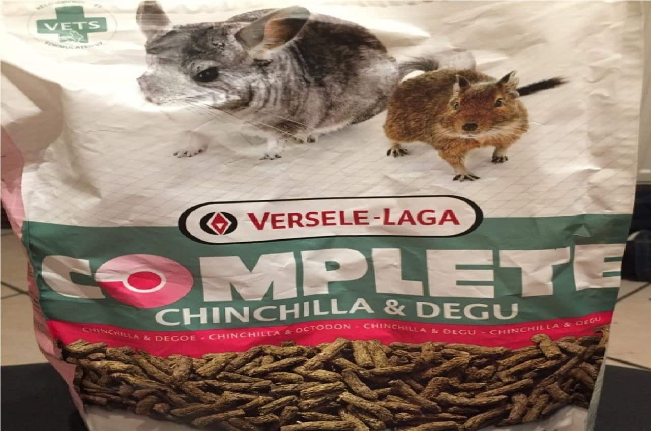 Can Rabbits Eat Chinchilla Food?